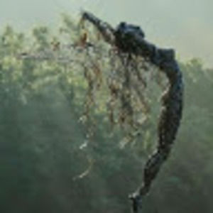 Meet your Posher, Cheryll